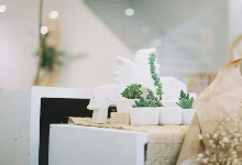 企业所得税优惠