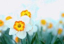 中华人民共和国契税法(2021年)