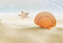 会计档案管理办法(2016年)